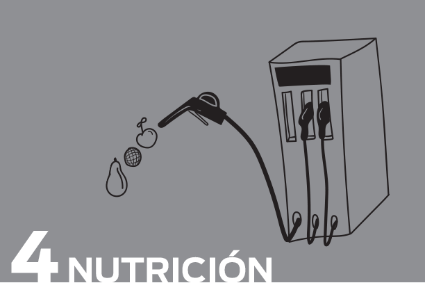 Nutricion